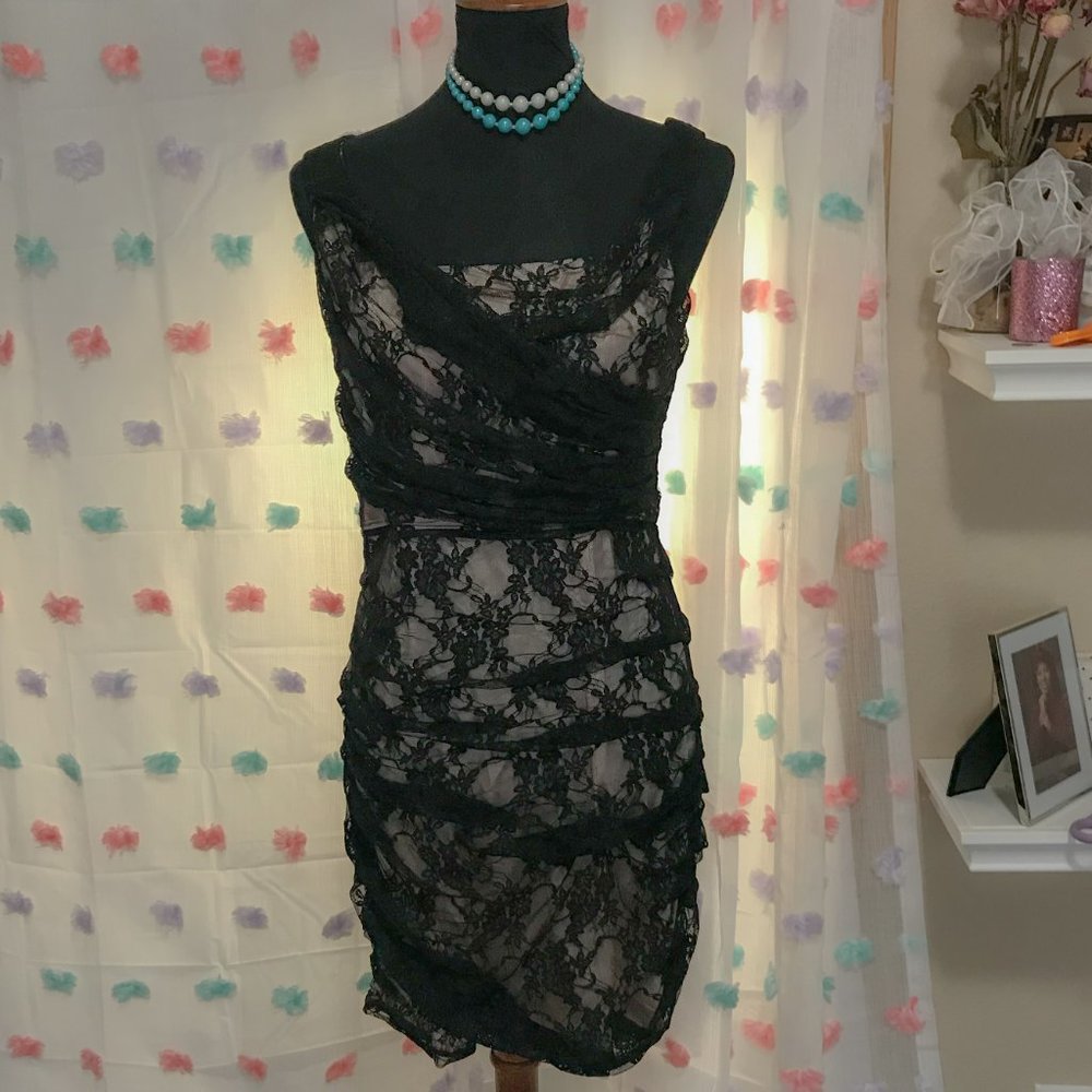 Express Vintage Style Lace Wiggle Dress